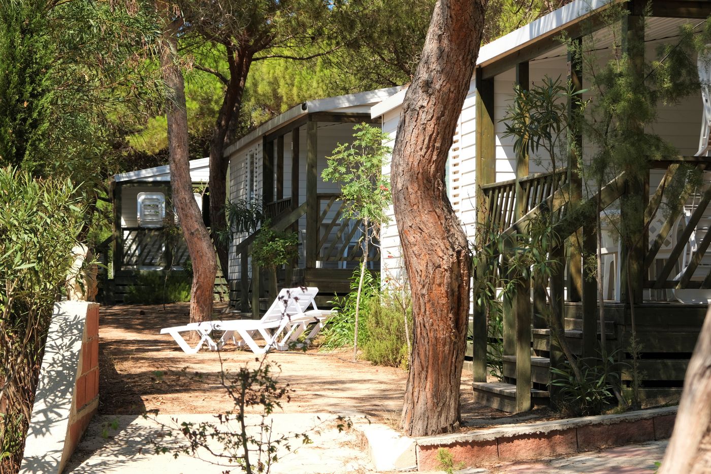 Torre-Del-Porticciolo-Camping---Village---Gampling-Room-10