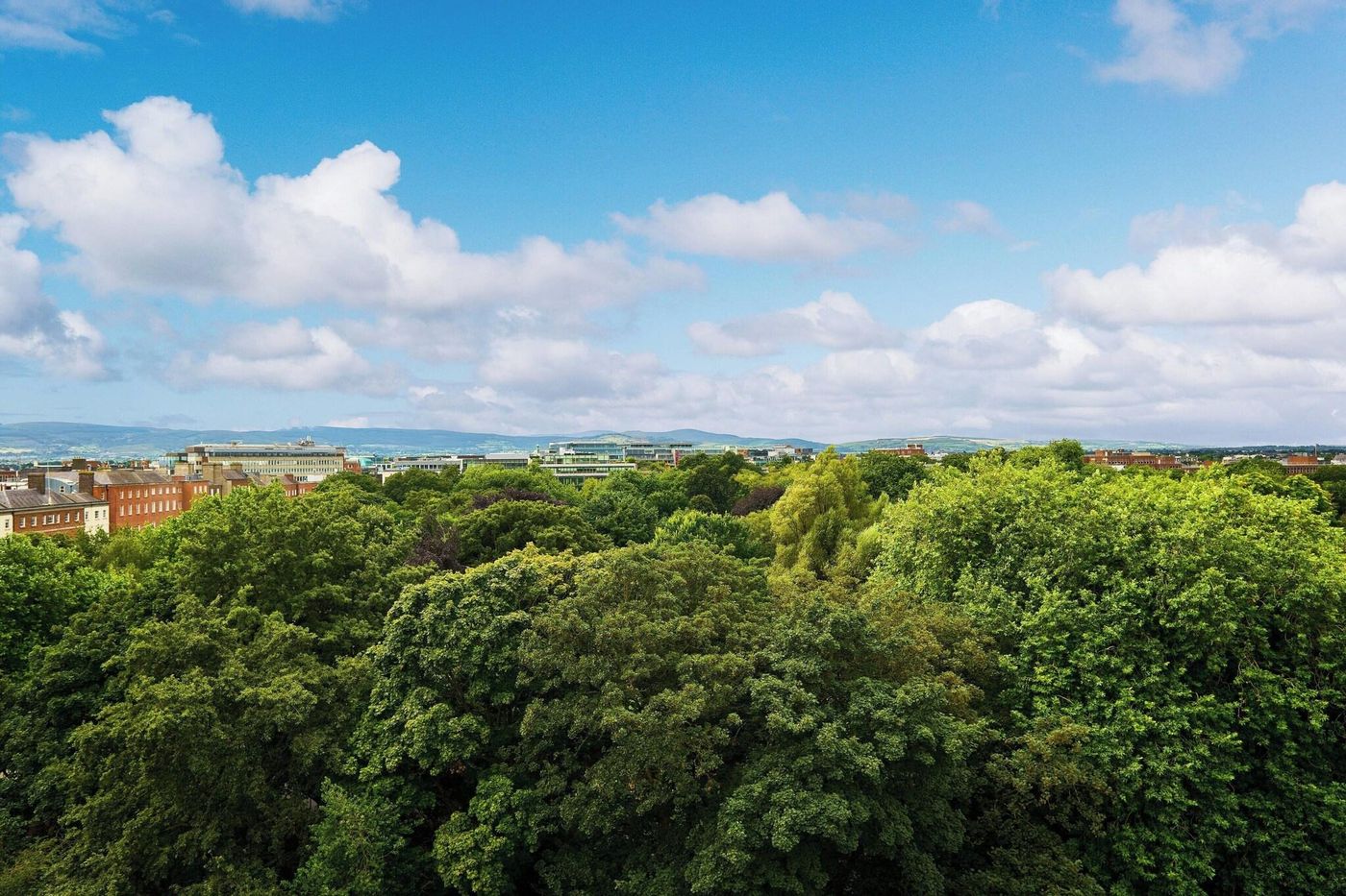 The-Shelbourne--Autograph-Collection-Room-80