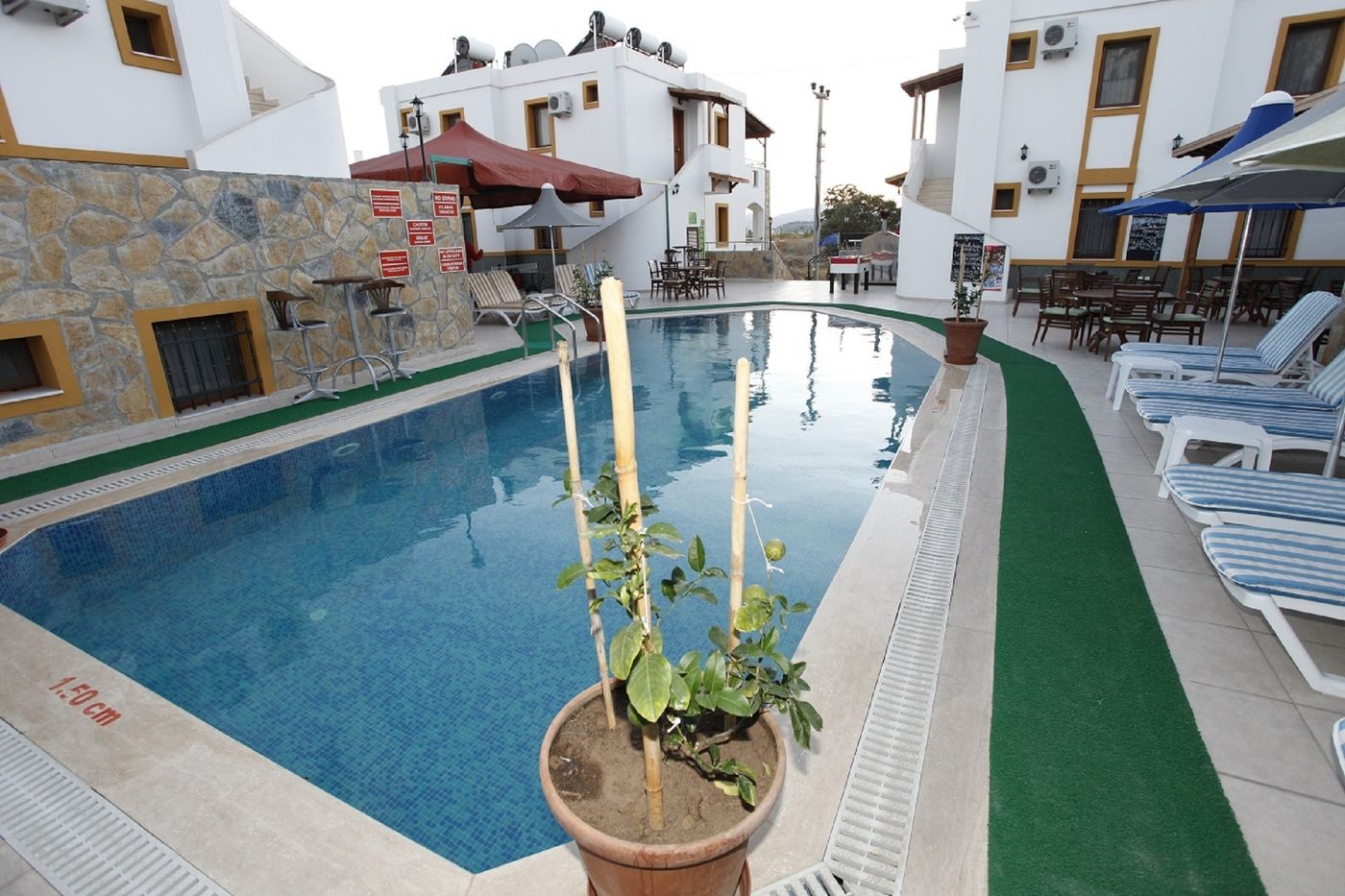 Lemon-Tree-General-view-2