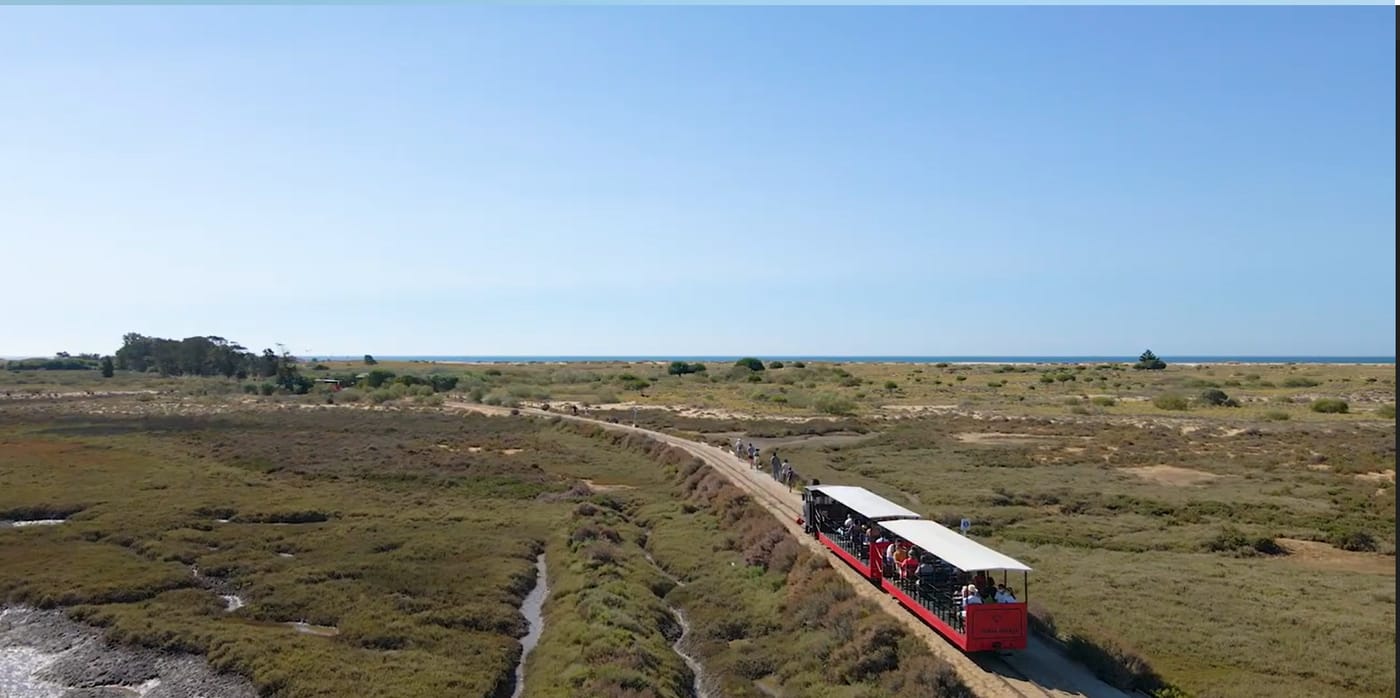 Pedras-d-el-Rei-General-view-68