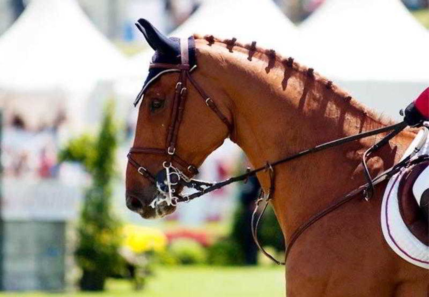 Courtyard Philadelphia Valley Forge/King ofPrussia-United States-WAYNE-General view-7