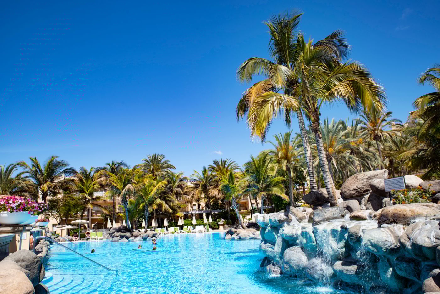 Palm-Oasis-Maspalomas-Pool-1