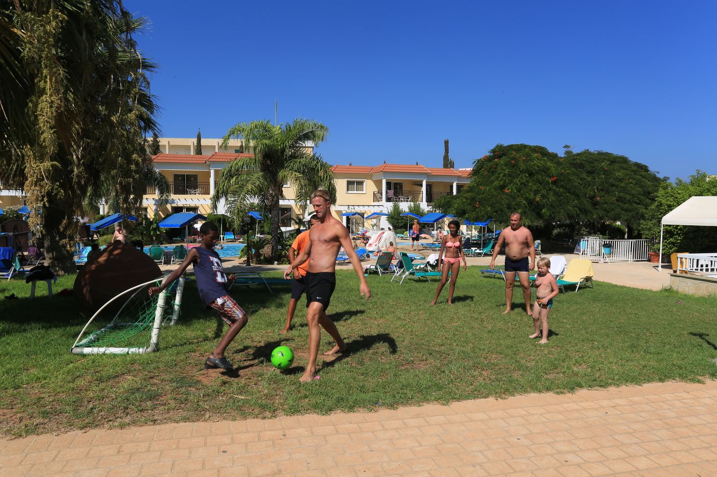 Pantelia - Jacaranda