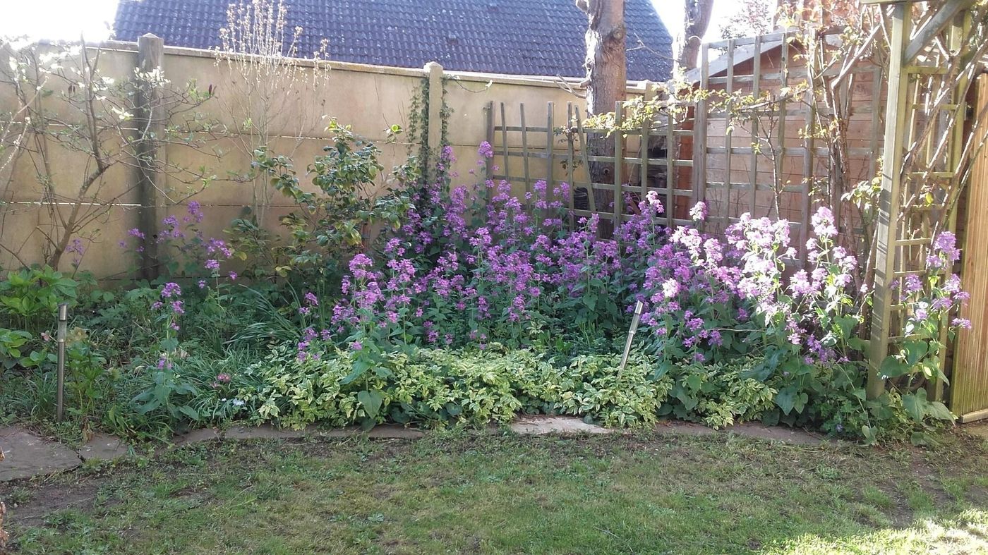 Chambre Du Jardin Fleuri-France-SAINT-AUBIN-LES-ELBEUF-General view-6