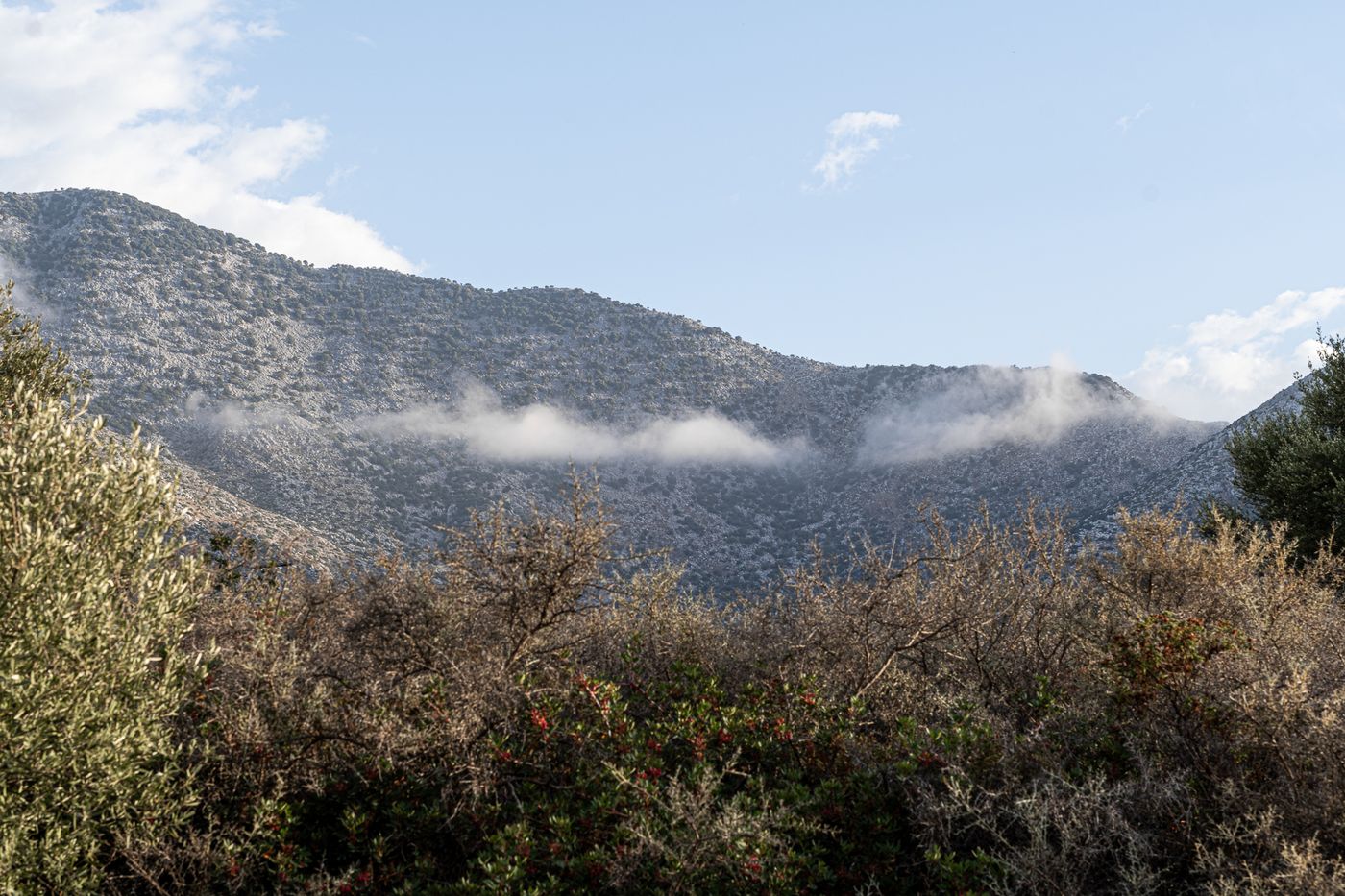 Elpis-Studios---Apartments-General-view-41