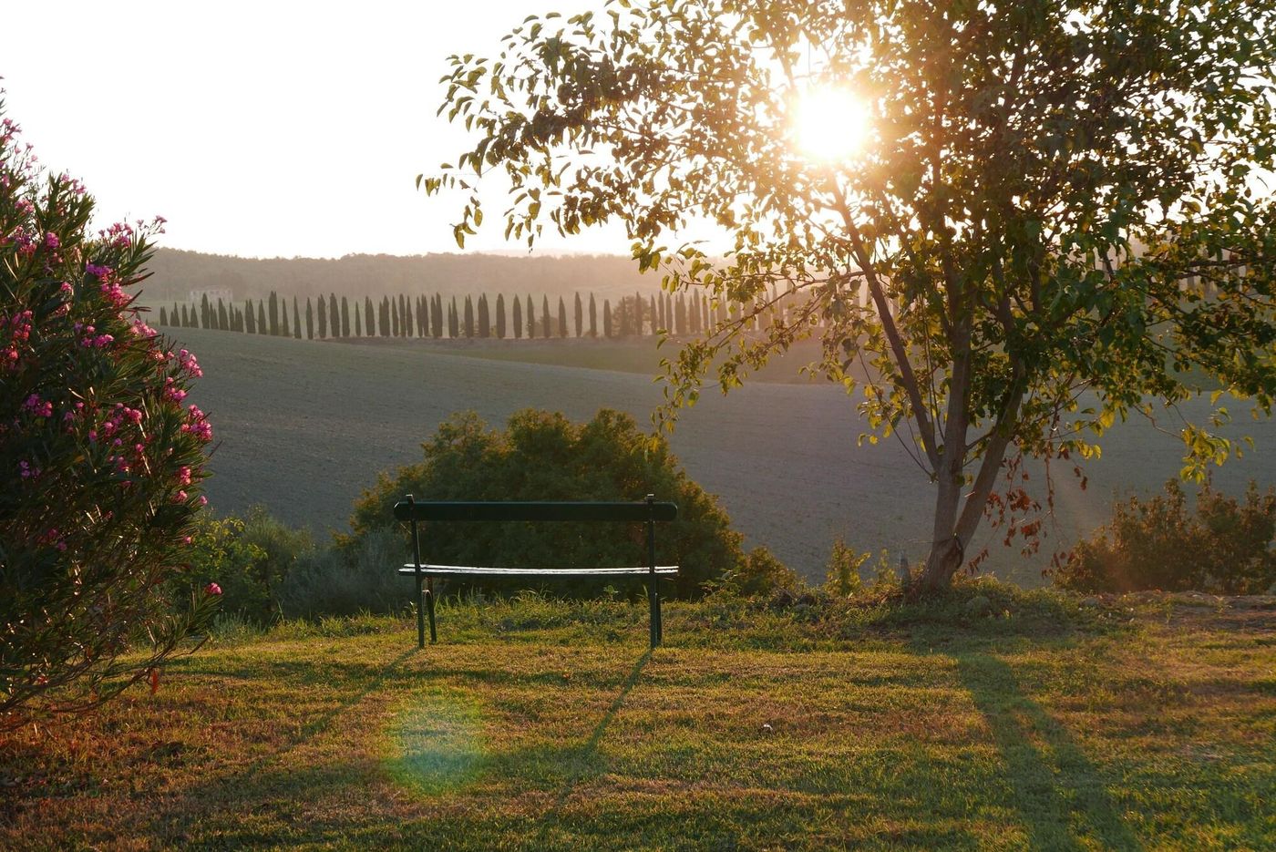 CA-Bianca-General-view-62