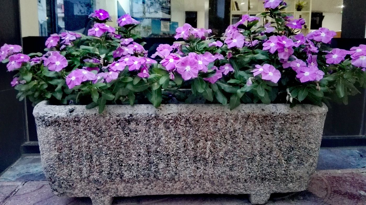 Adia-Cunit-Playa-General-view-12