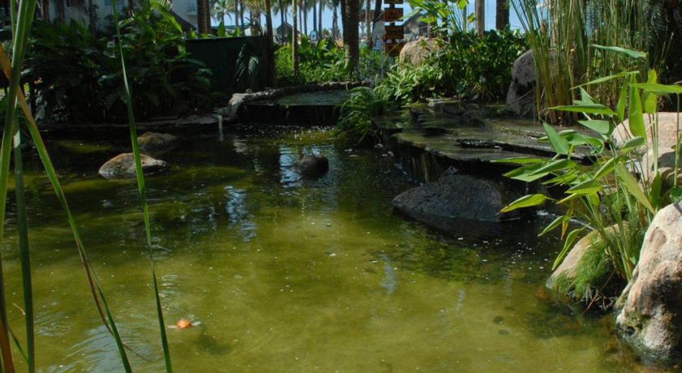 Bel Air Collection Resort & Spa Vallarta