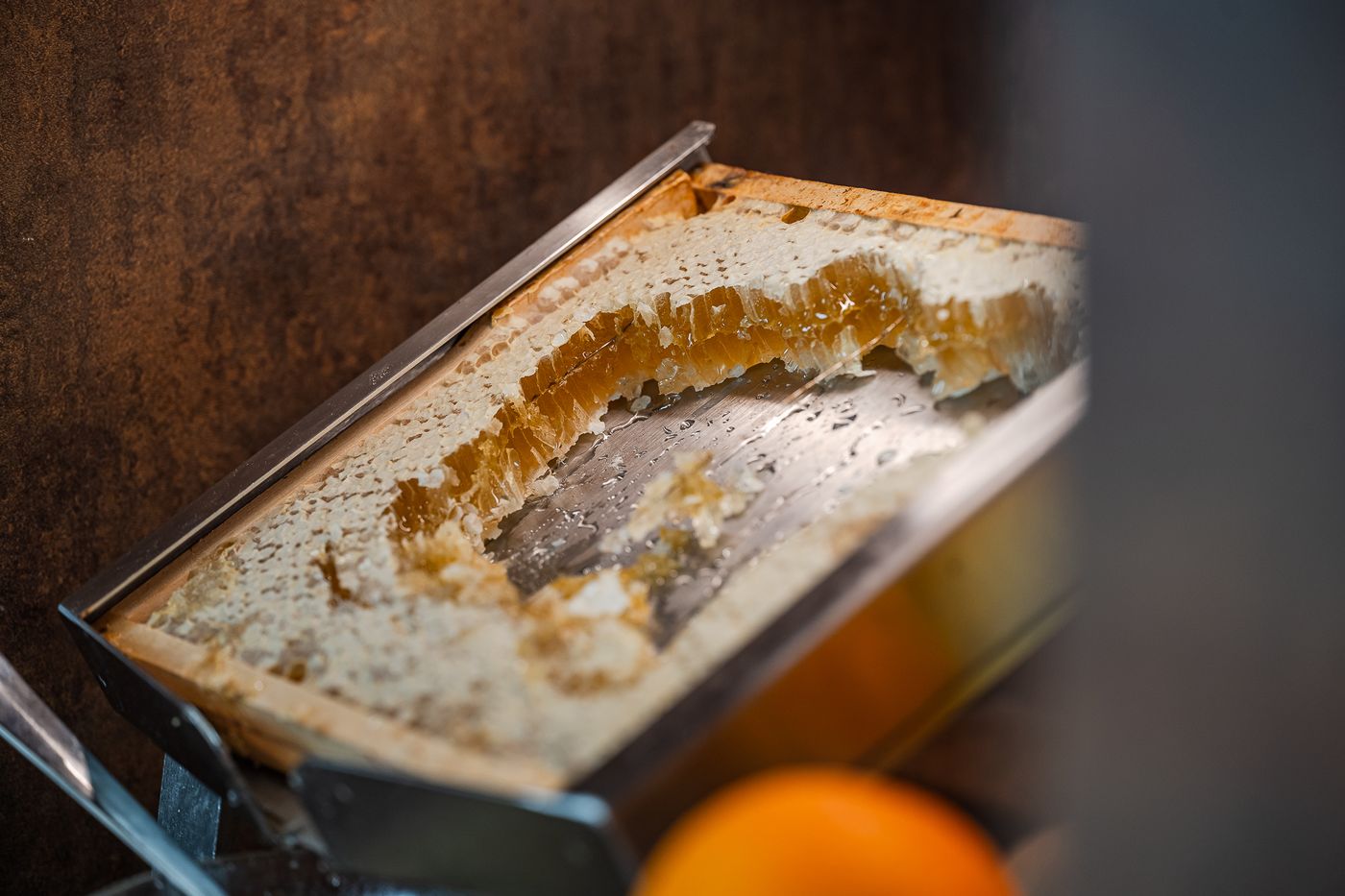 Hotel Astoria - Italy - BOLOGNA - General view - 2