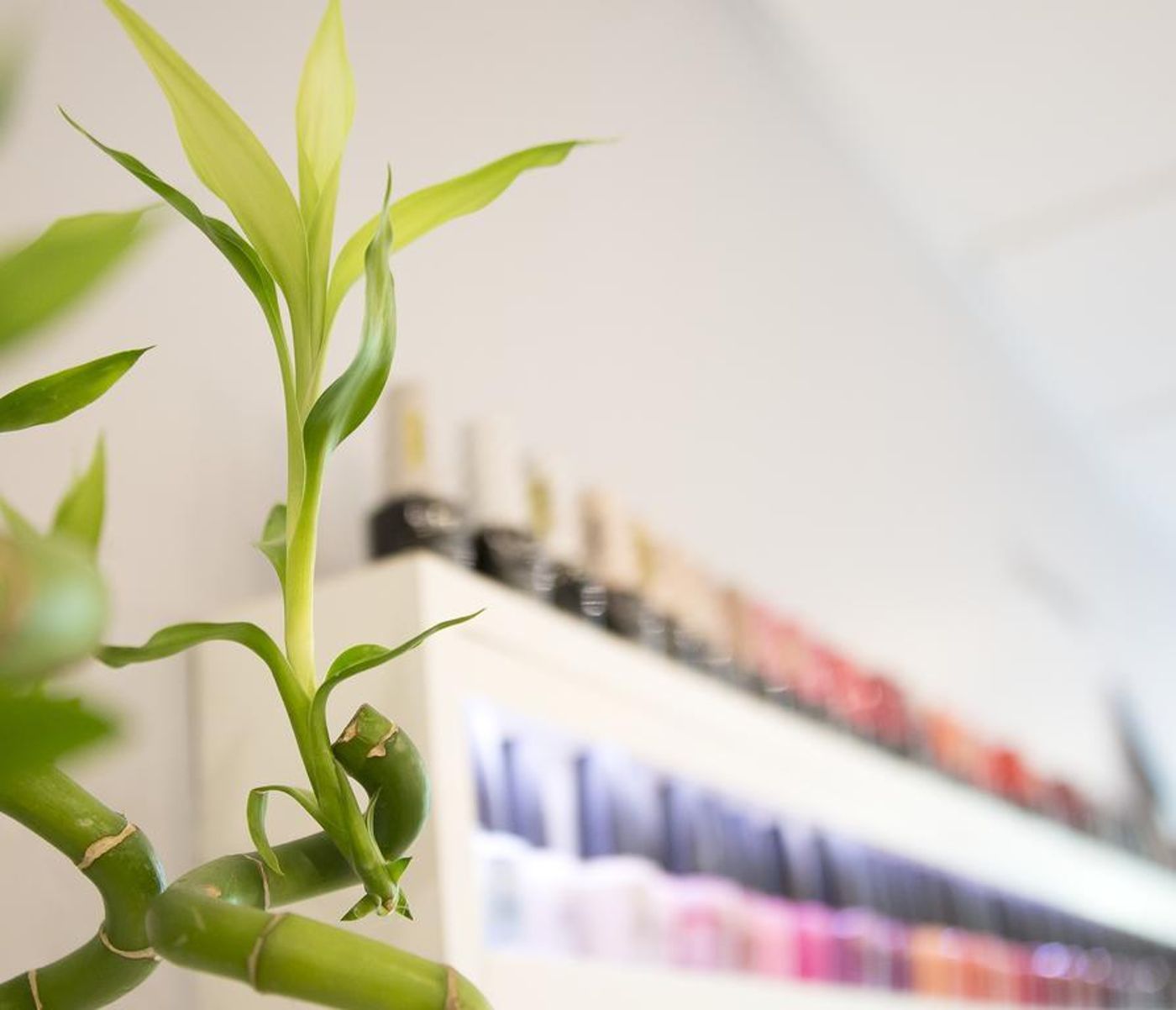 Pavillon De La Rotonde Et Spa - France - CHARBONNIERES LES BAINS - General view - 10