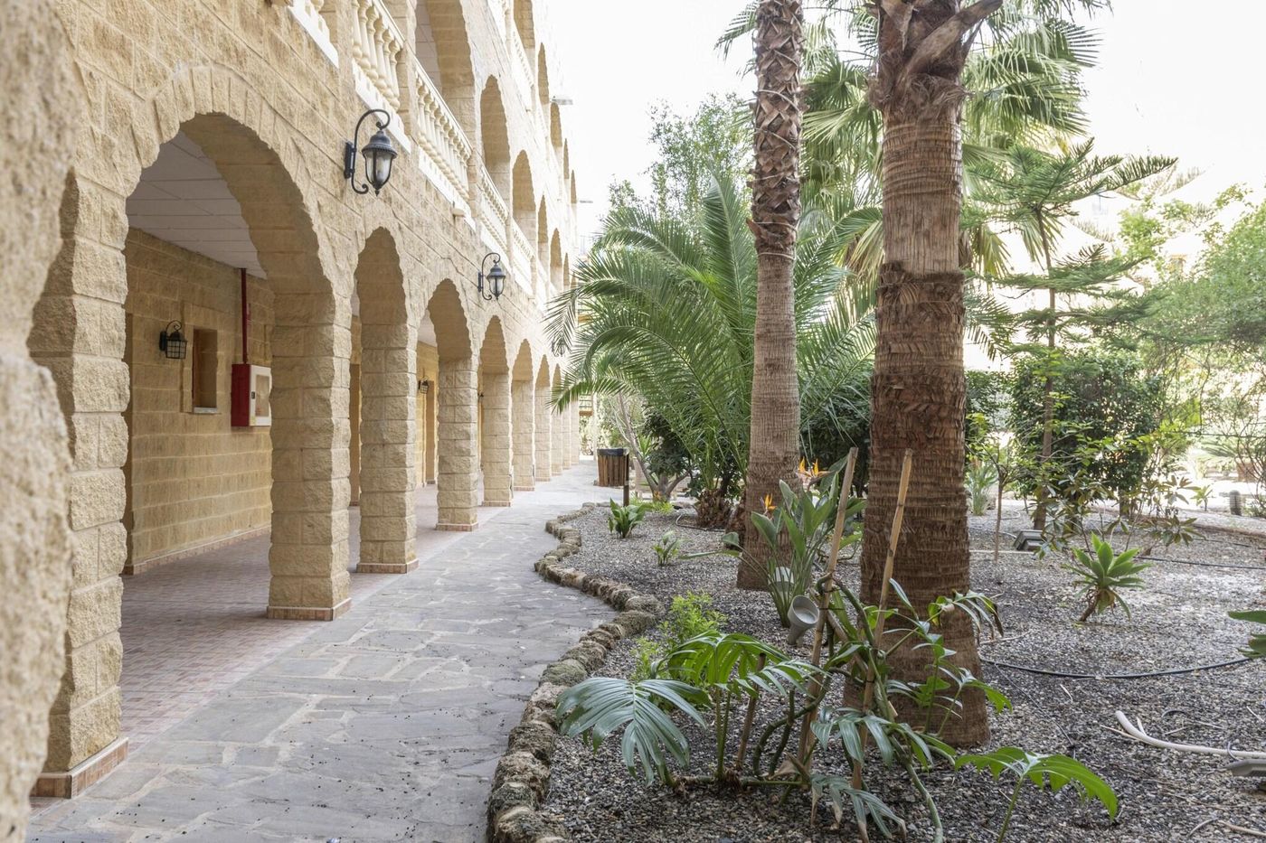 Hotel-Plaza-del-Castillo-Terrace-6