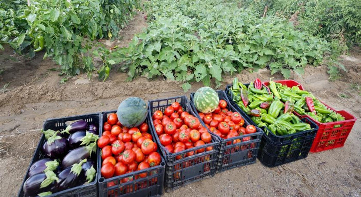 Merce-Hotel-Restaurant-15