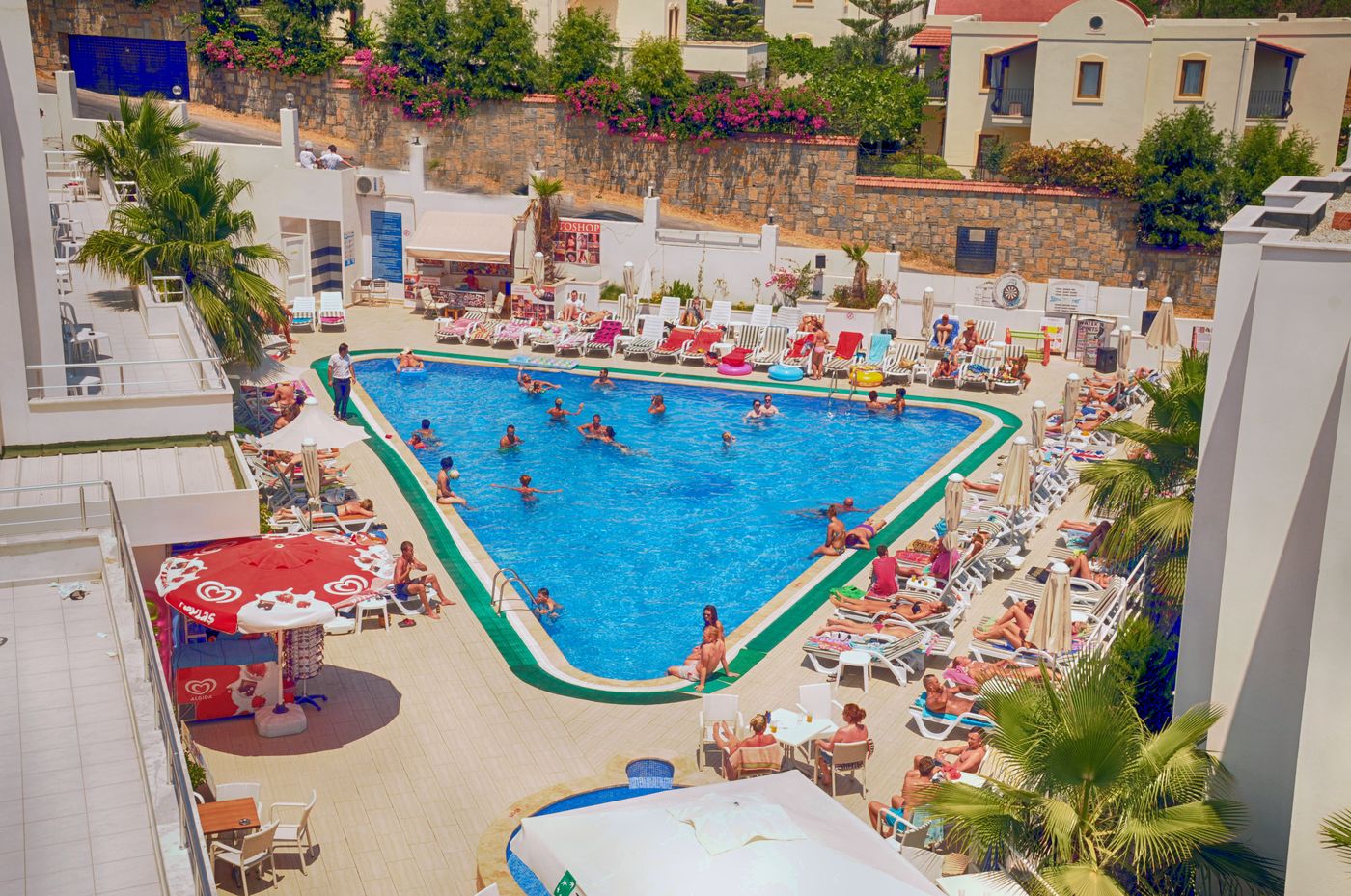 Club-Hotel-Shark-Pool-5