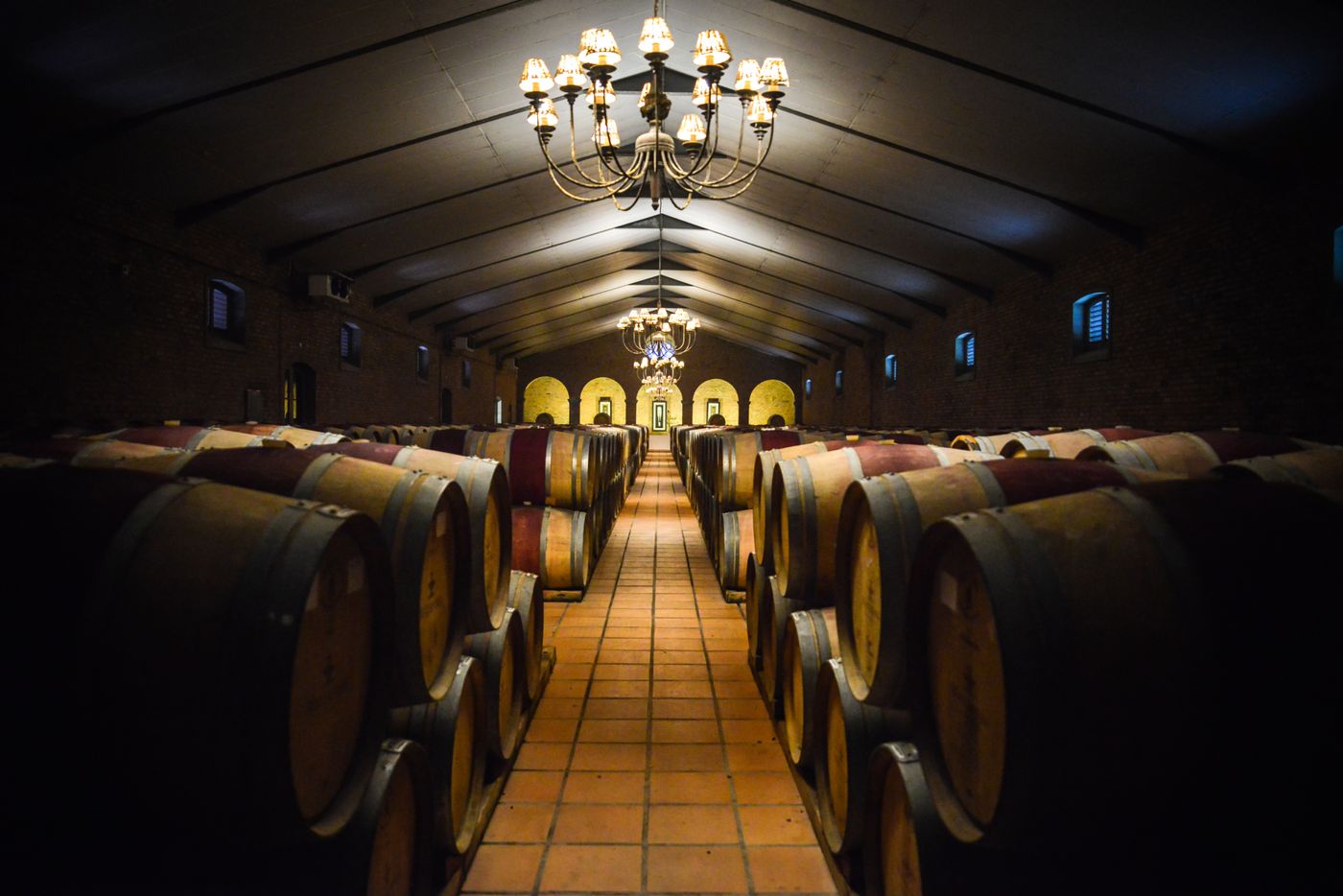 Cape-Cadogan-Sports-and-Entertainment-11