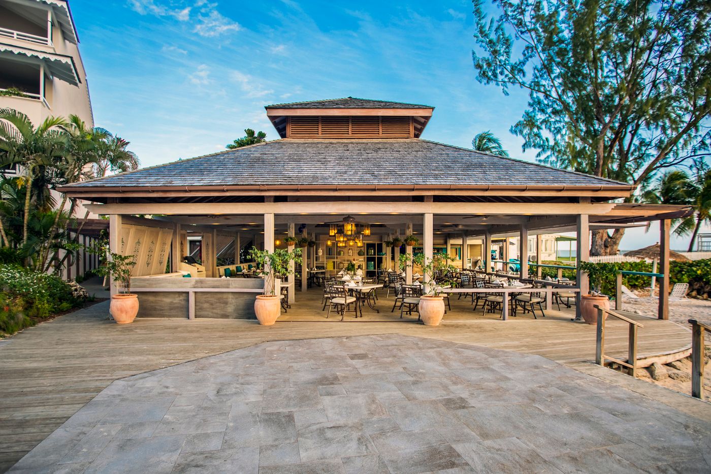 Bougainvillea Barbados