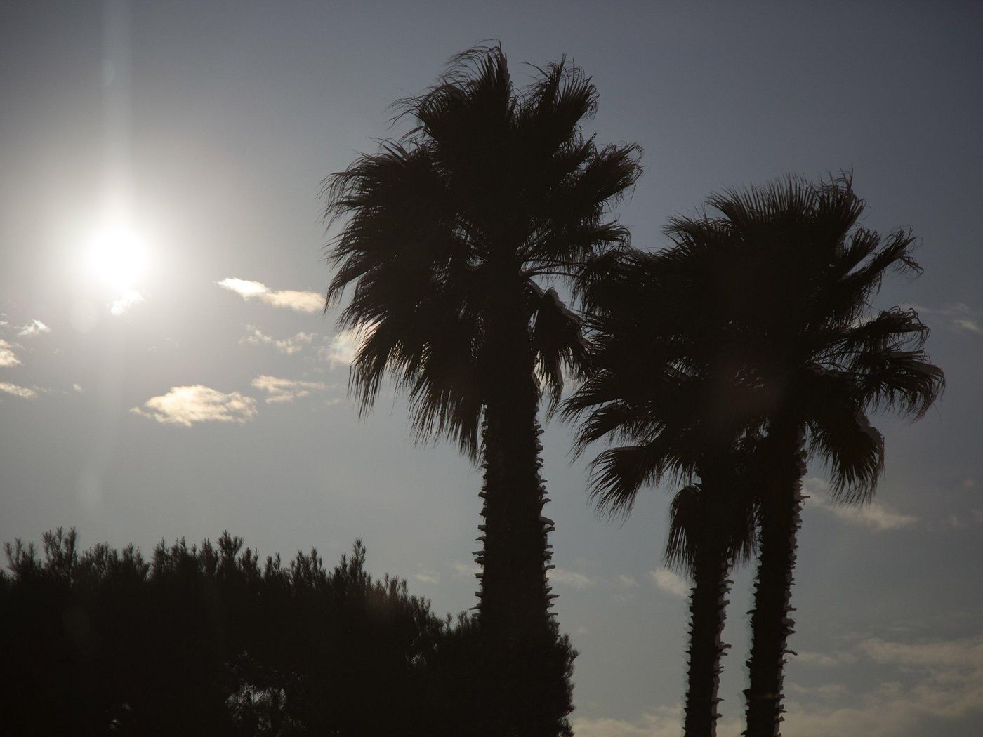 Novotel Marseille Vieux-Port-France-MARSEILLE-General view-10