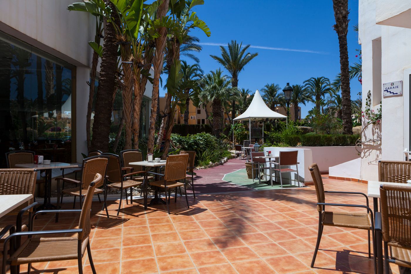 Apartamentos-M----xico-Terrace-15