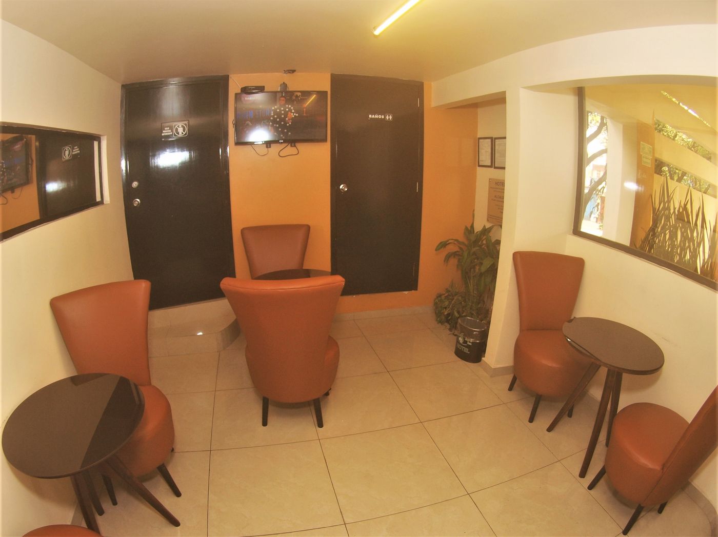 Jard Inn Adult Only-Mexico-Ciudad de Mexico-Lobby-4