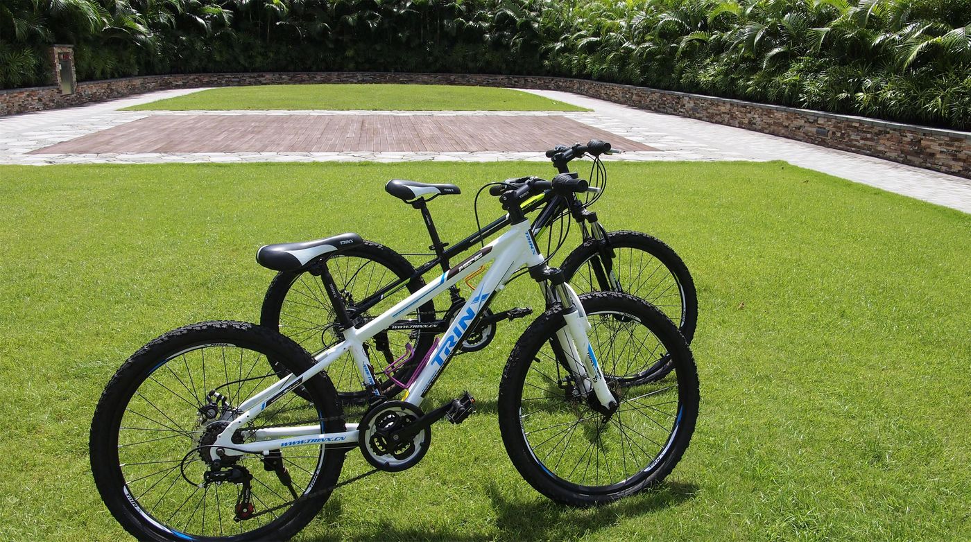 Hyatt-Regency-Hong-Kong-Sha-Tin-Sports-and-Entertainment-12