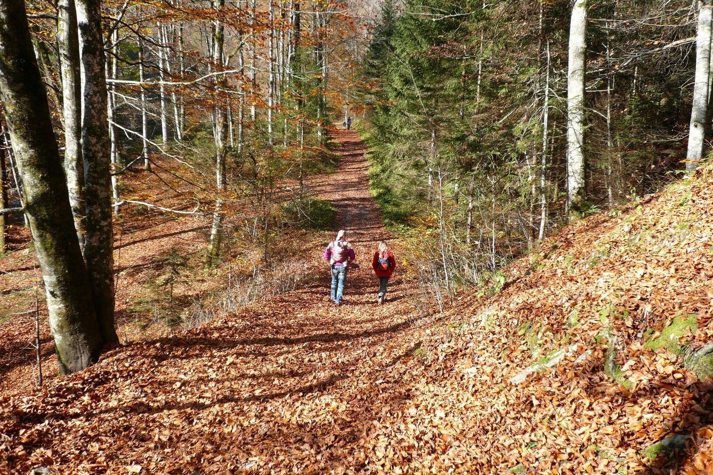 Austria Classic Hotel Heiligkreuz-Austria-HALL IN TIROL-General view-5