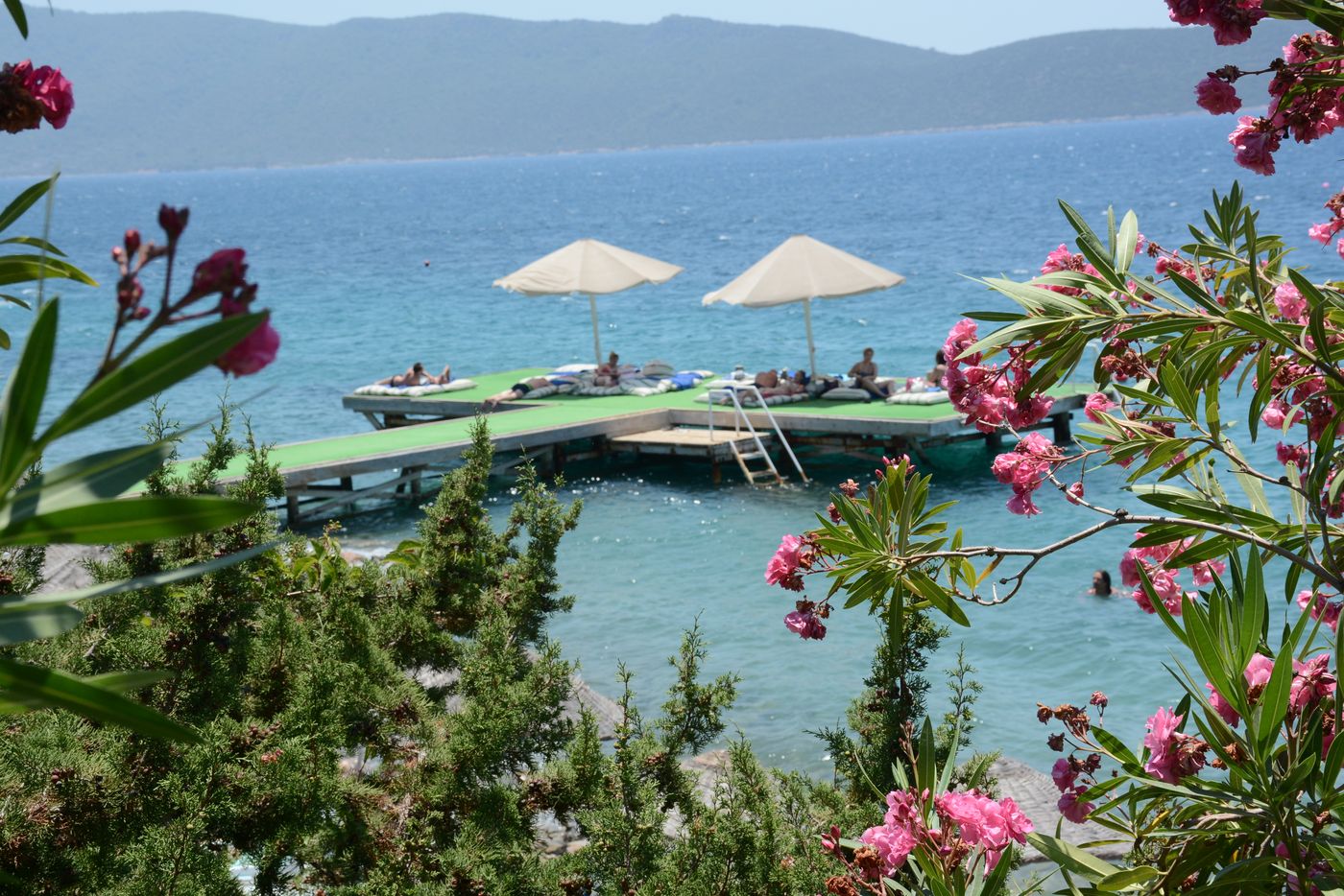 Forever Club - Adults Only