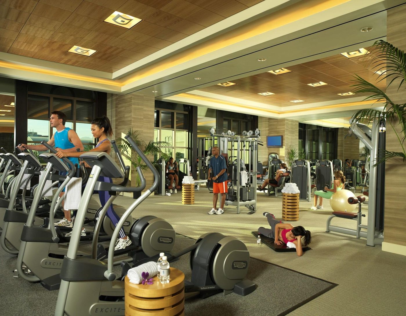 Caesars-Palace-Sports-and-Entertainment-95