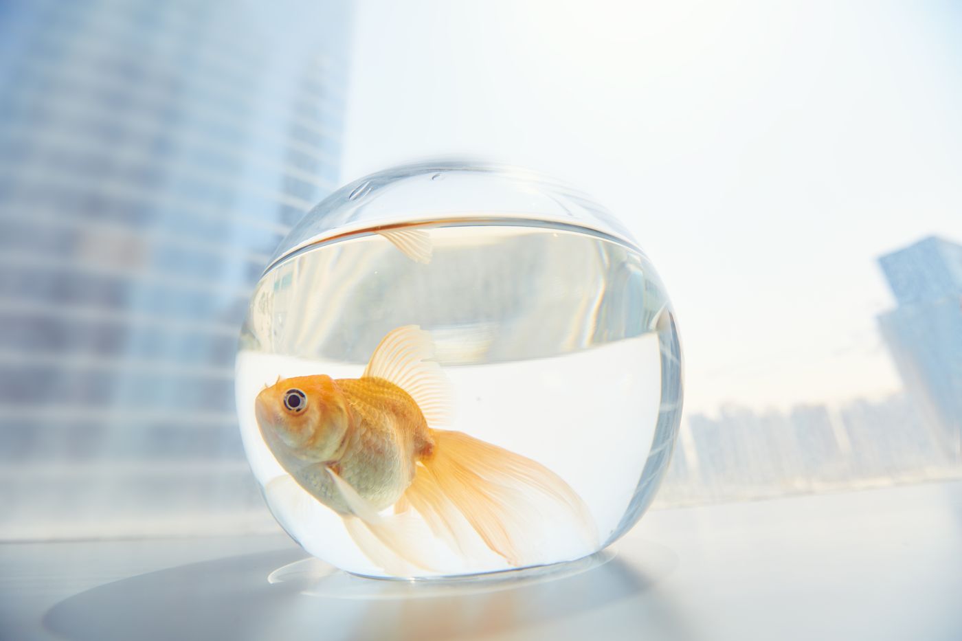 Media-One-Hotel-Room-42