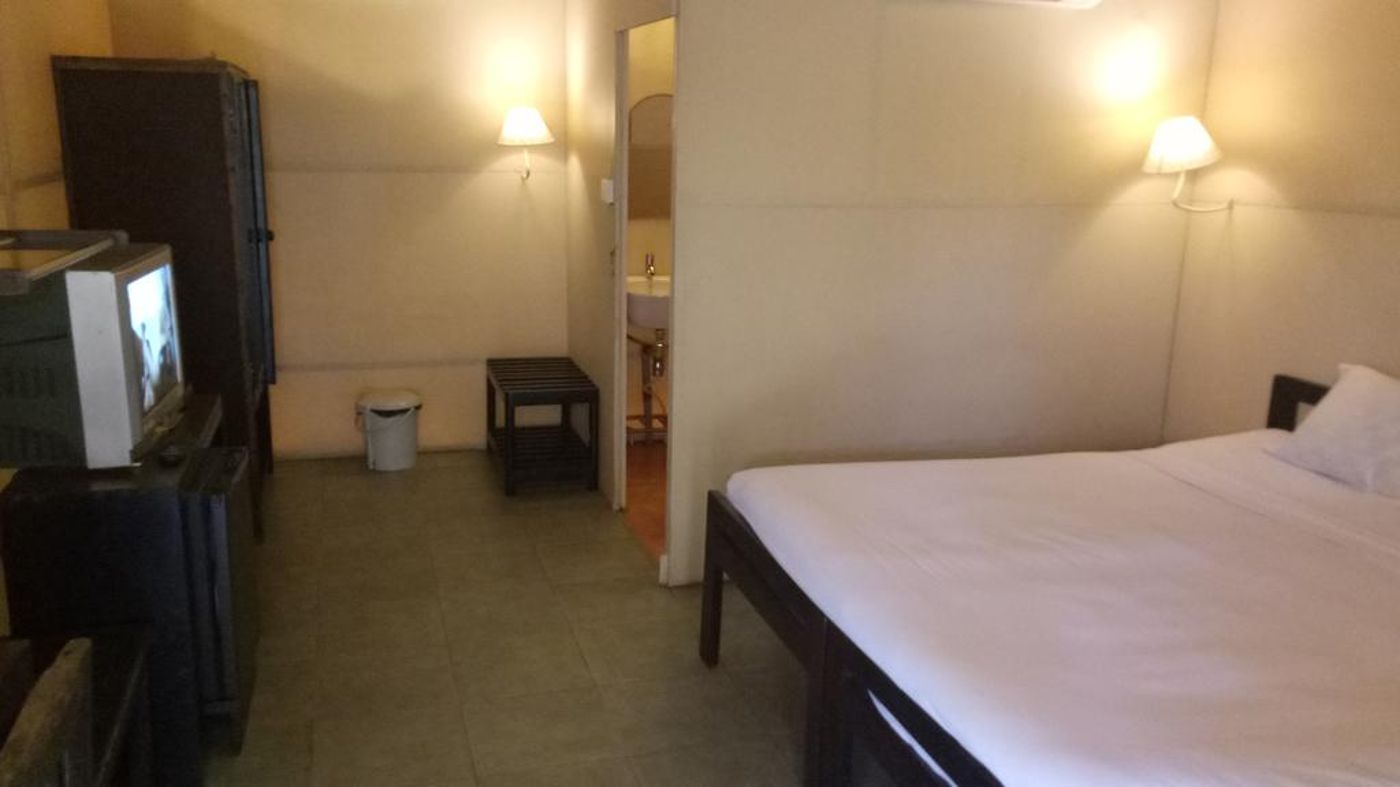 Primo Bom Terra Verde