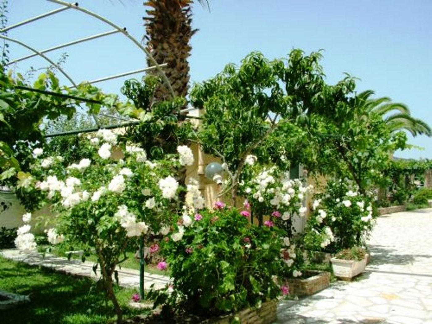 Blue-Sea---Argyrades-Beach-Terrace-2