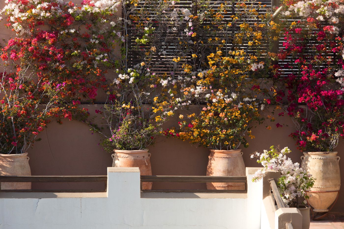 Les-Jardins-de-la-Medina-Terrace-14