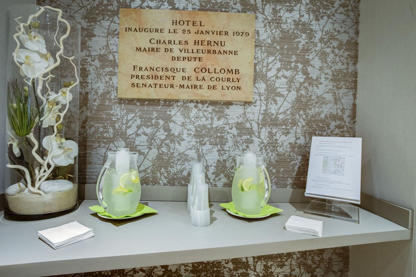 Hotel Des Congres by Arteloge - France - VILLEURBANNE - Lobby - 7