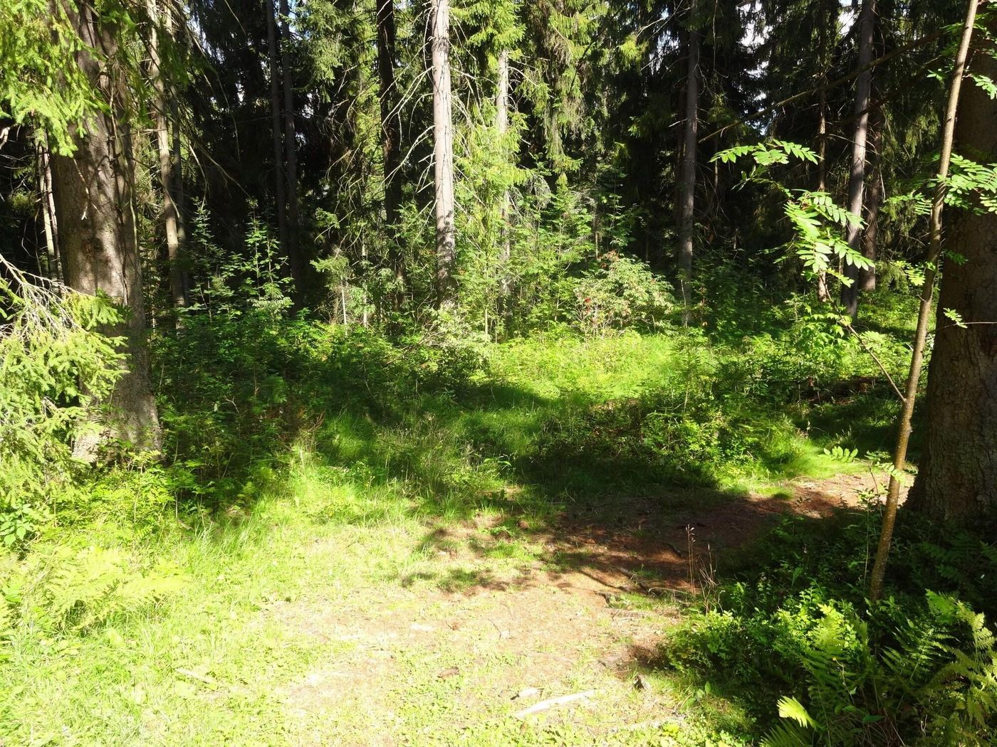 Hotel Tatry - POLSKIE TATRY S.A.-Poland-PORONIN-General view-2