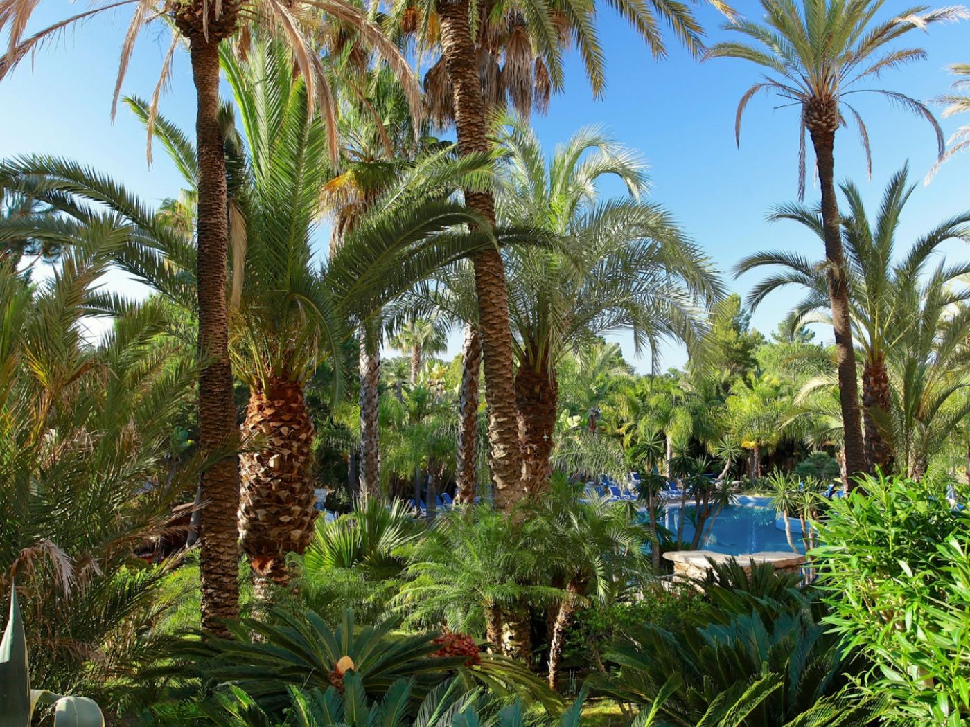 Ria-Park-Hotel---Spa-Room-7