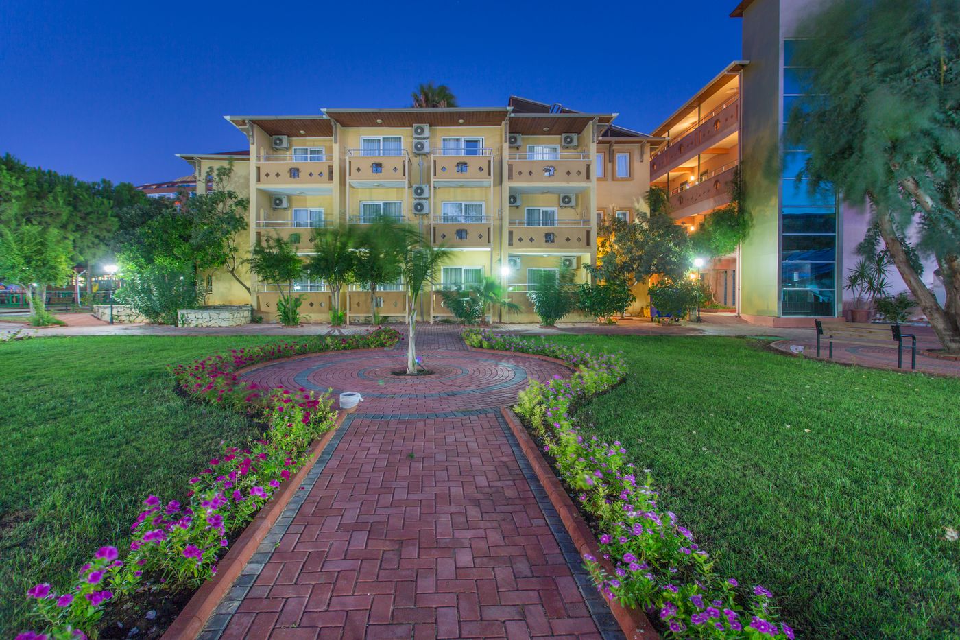 Lonicera--World-General-view-19