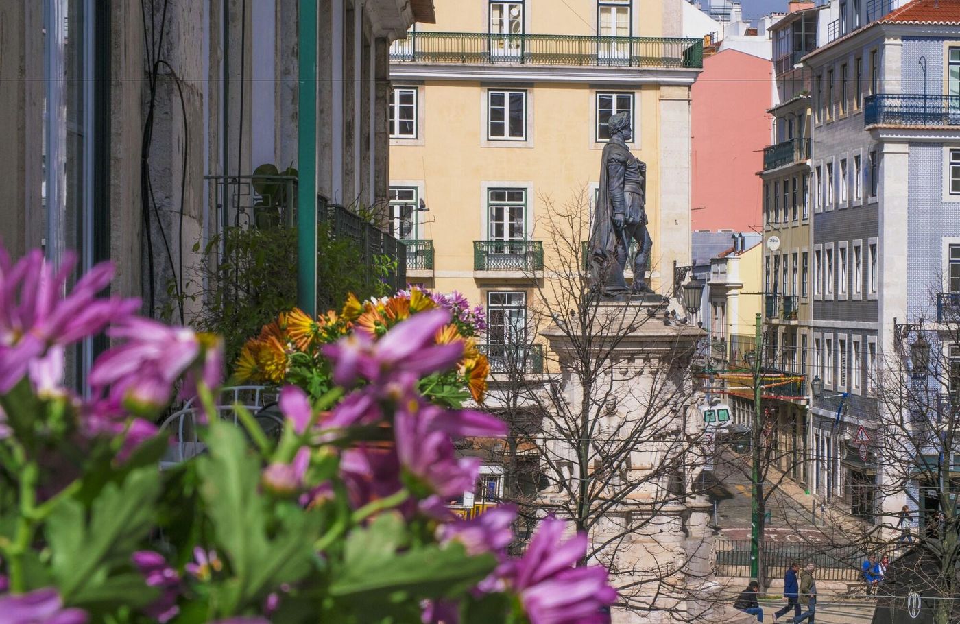 Casinha Das Flores-Portugal-LISBON-General view-9