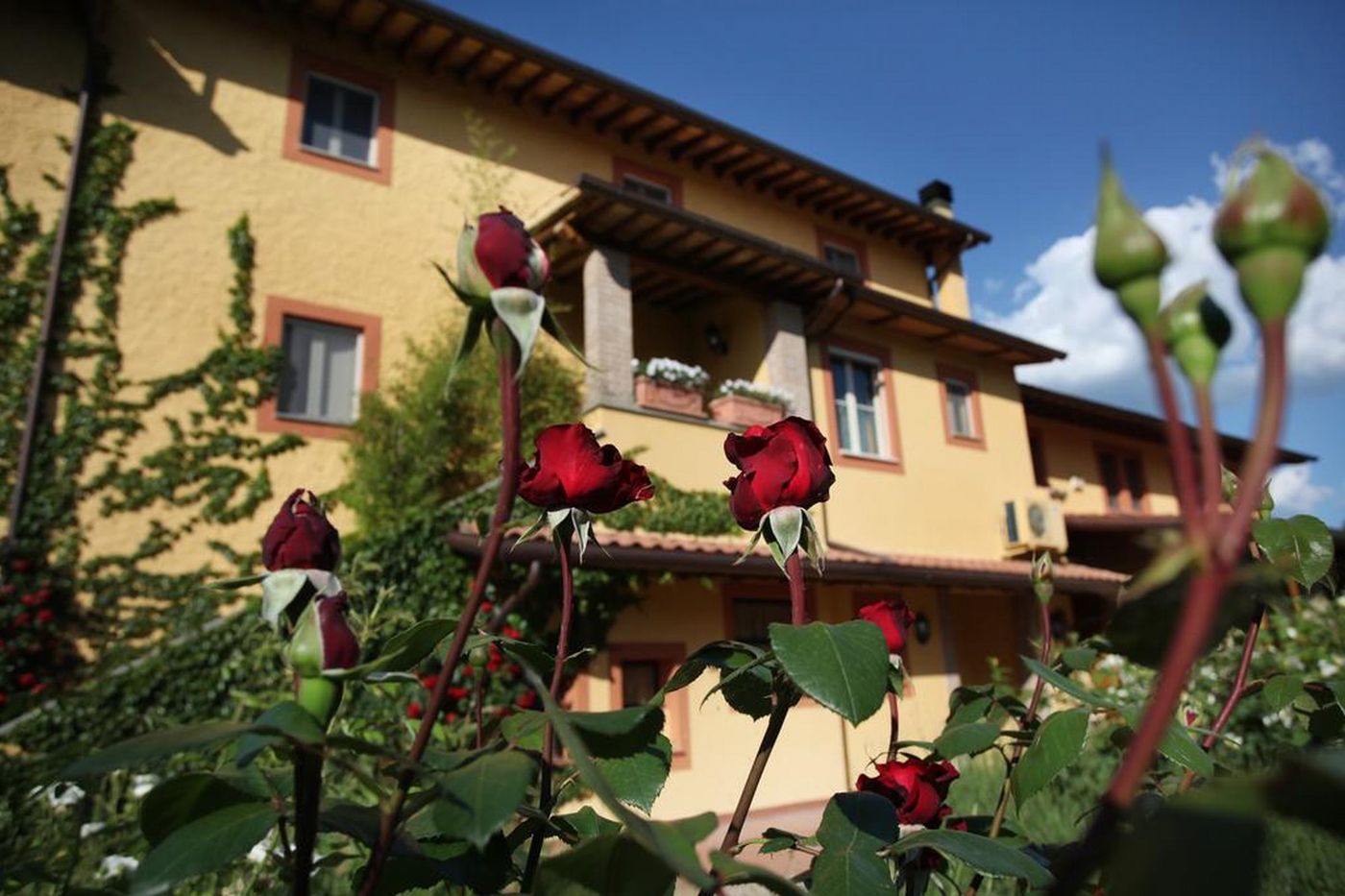 Resort & Spa San Crispino-Italy-ASSISI-General view-3