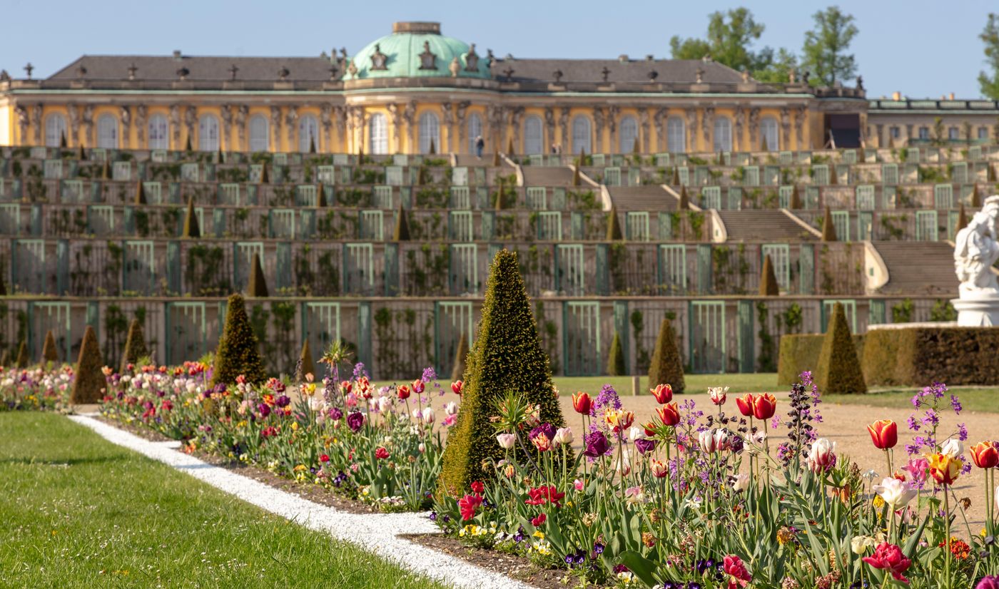 Holiday-Inn-Express-and-Suites-Potsdam-General-view-59