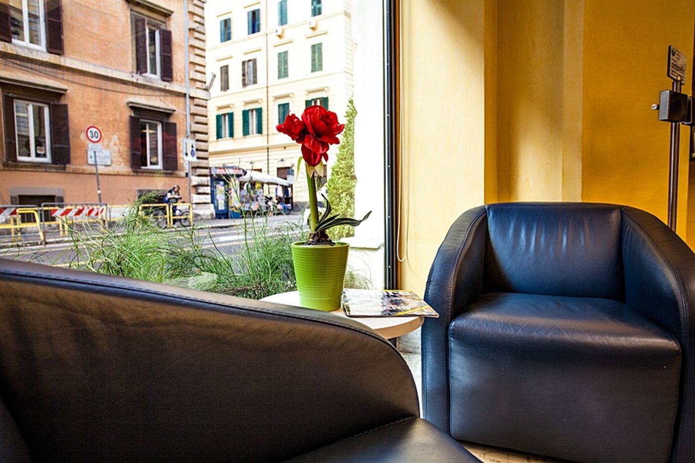 Camelia-General-view-6