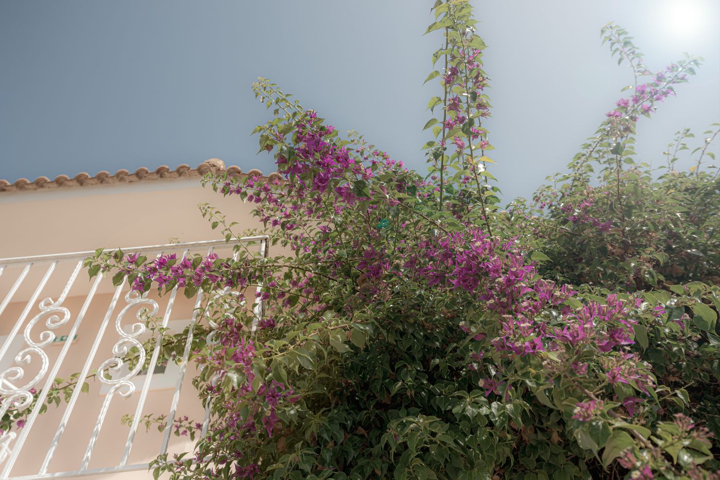 Ecoresort-Zefyros--General-view-16