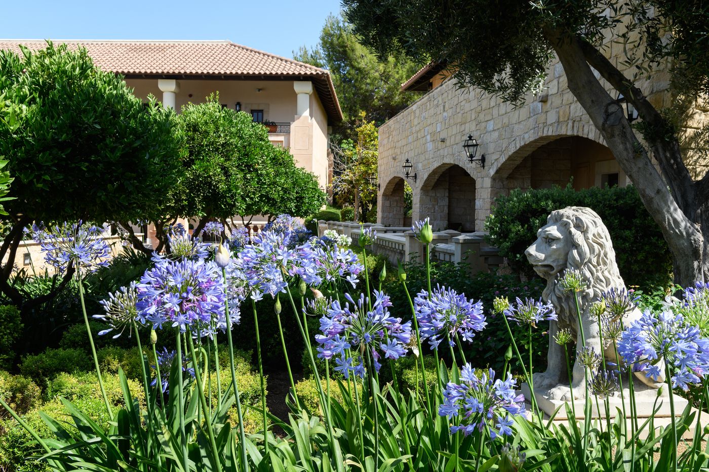 Elysium Beach Resort