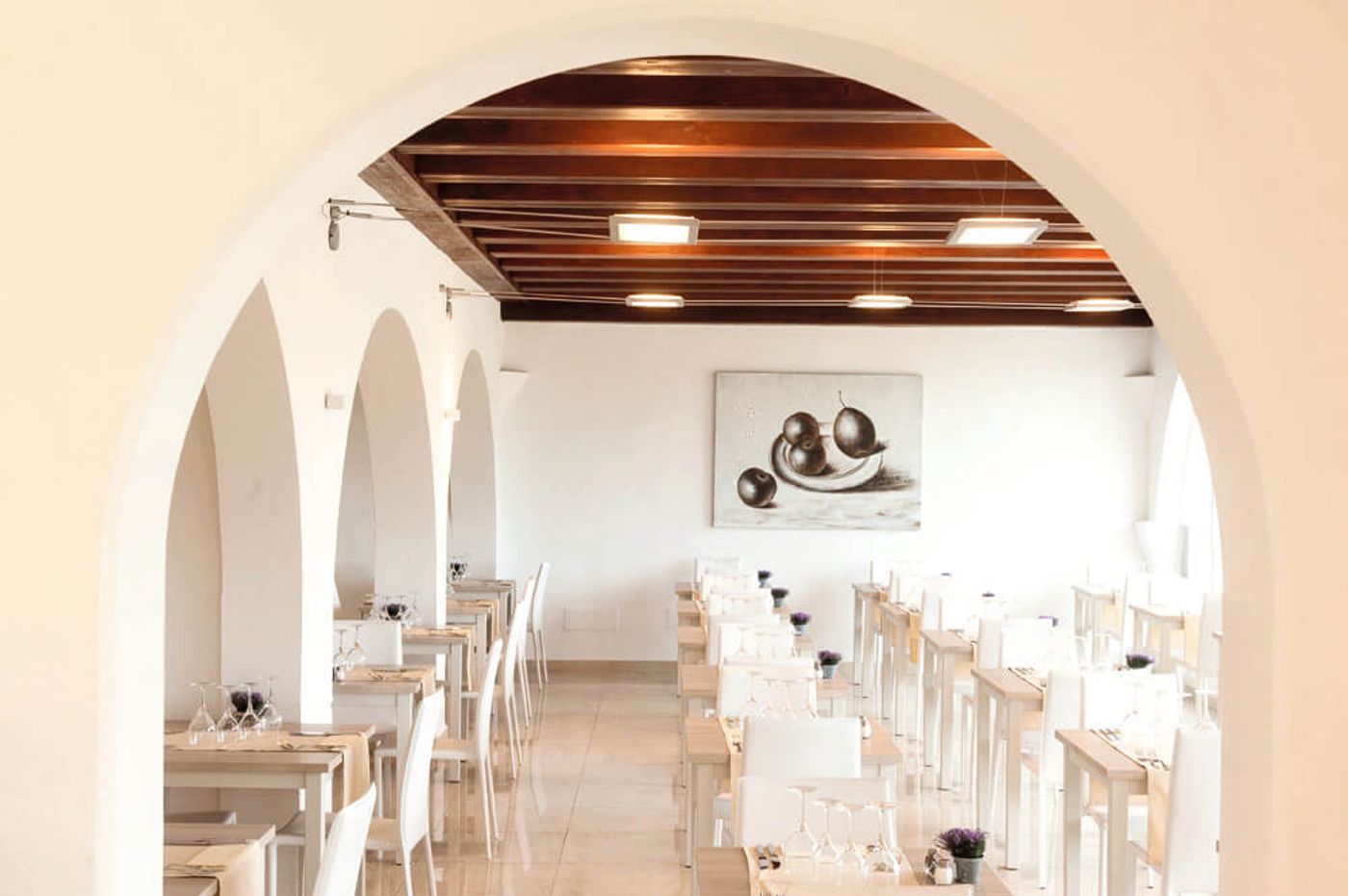 Rocador - Adults Only