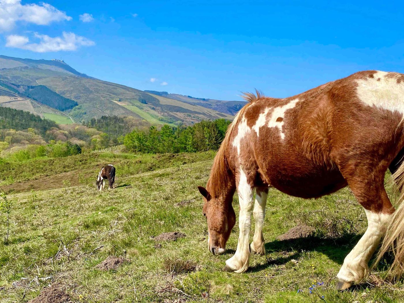 Hôtel Mercure Président Biarritz Plage-France-BIARRITZ-General view-9
