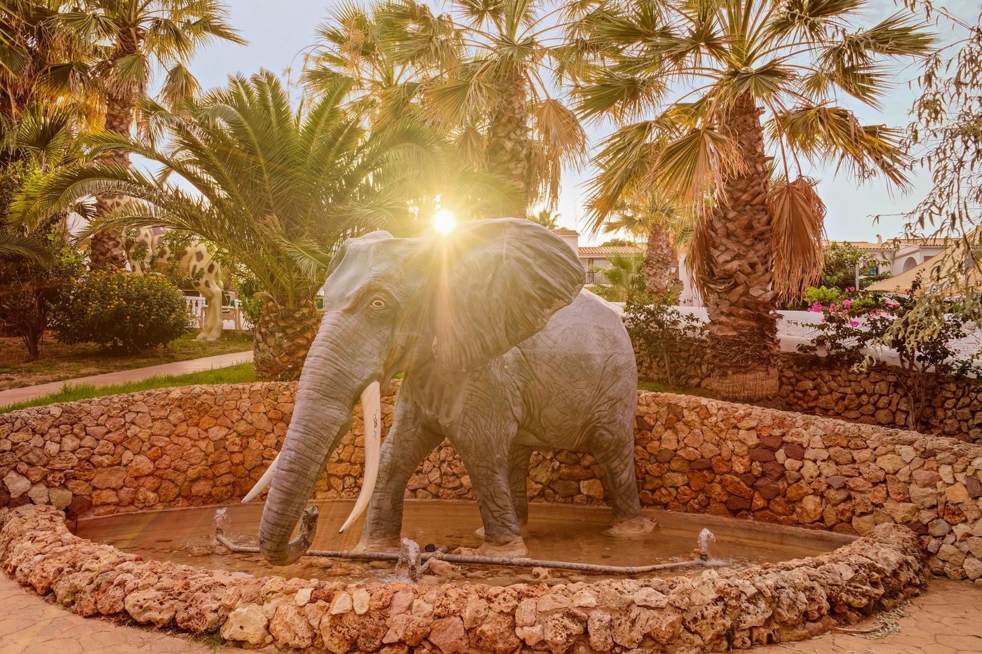 Moon Dreams Marina Parc