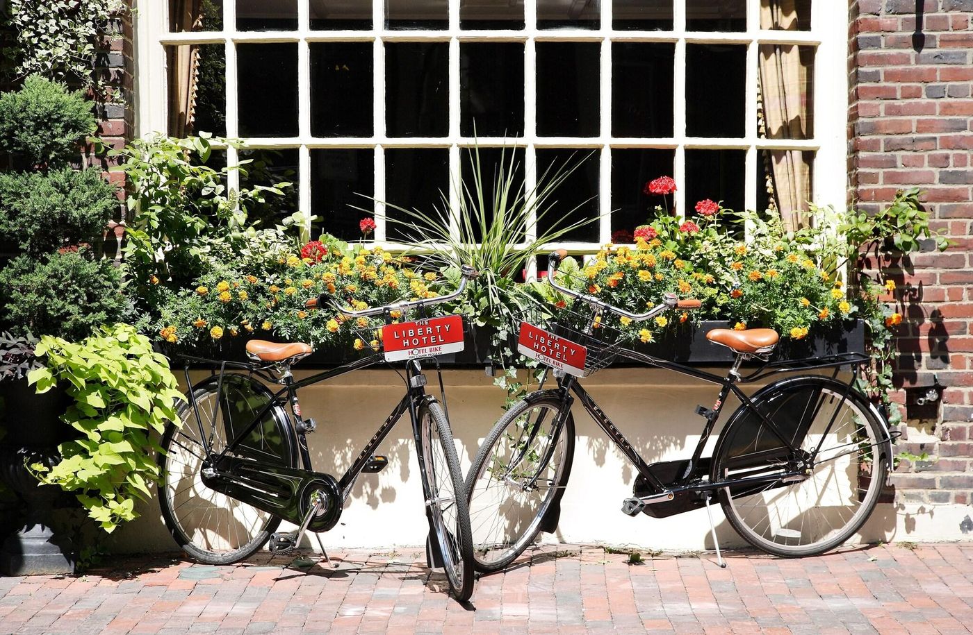 The-Liberty--a-Luxury-Collection-Hotel--Boston-Sports-and-Entertainment-11