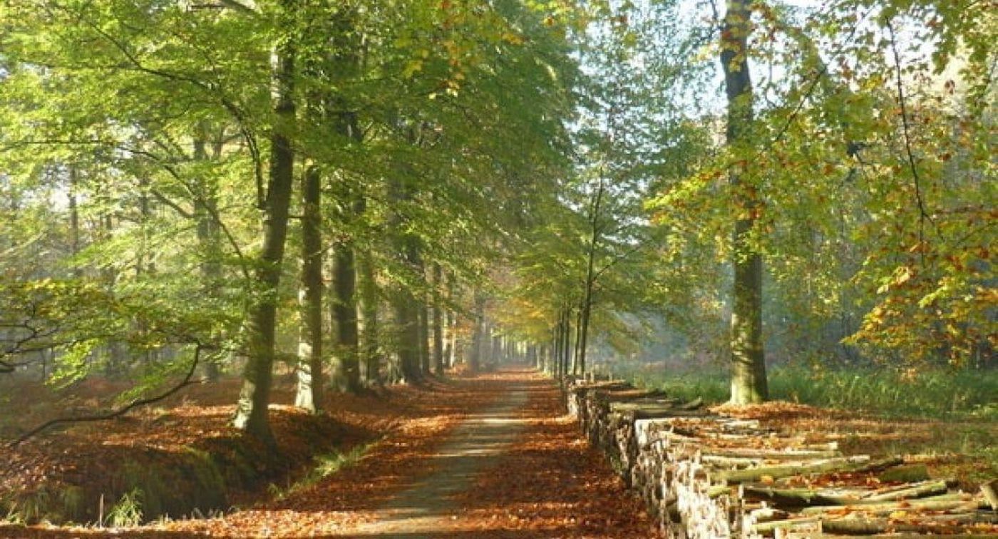 Villa Magdalena-Belgium-EEKLO-General view-9