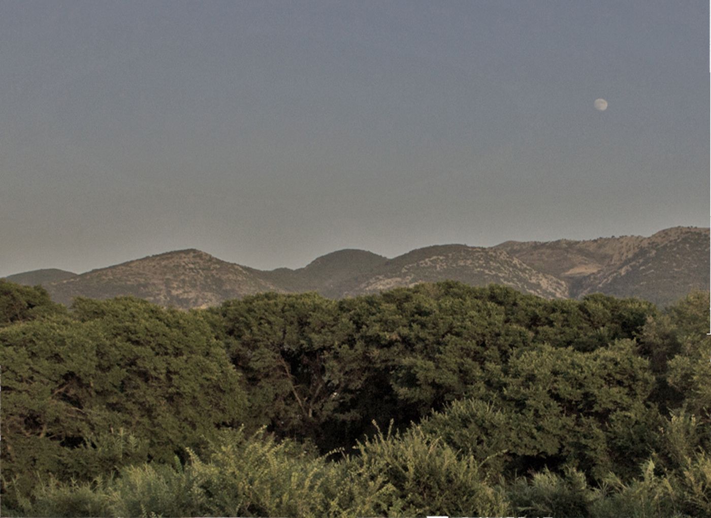 Nireas-Studios---Apartments-Terrace-39