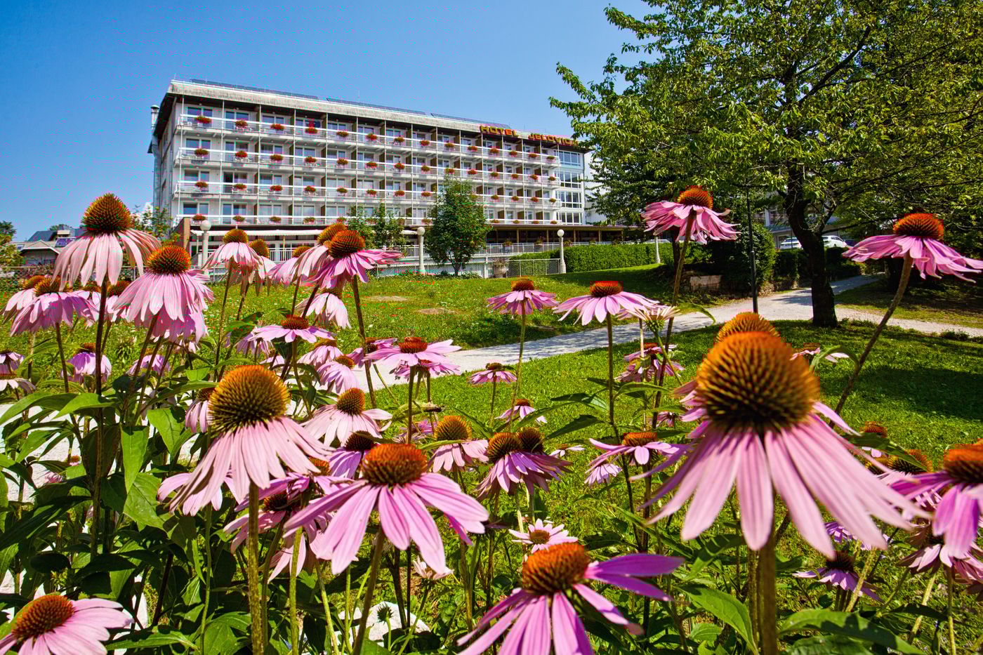 Bledrose hotel-Slovenia-Bled-General view-8