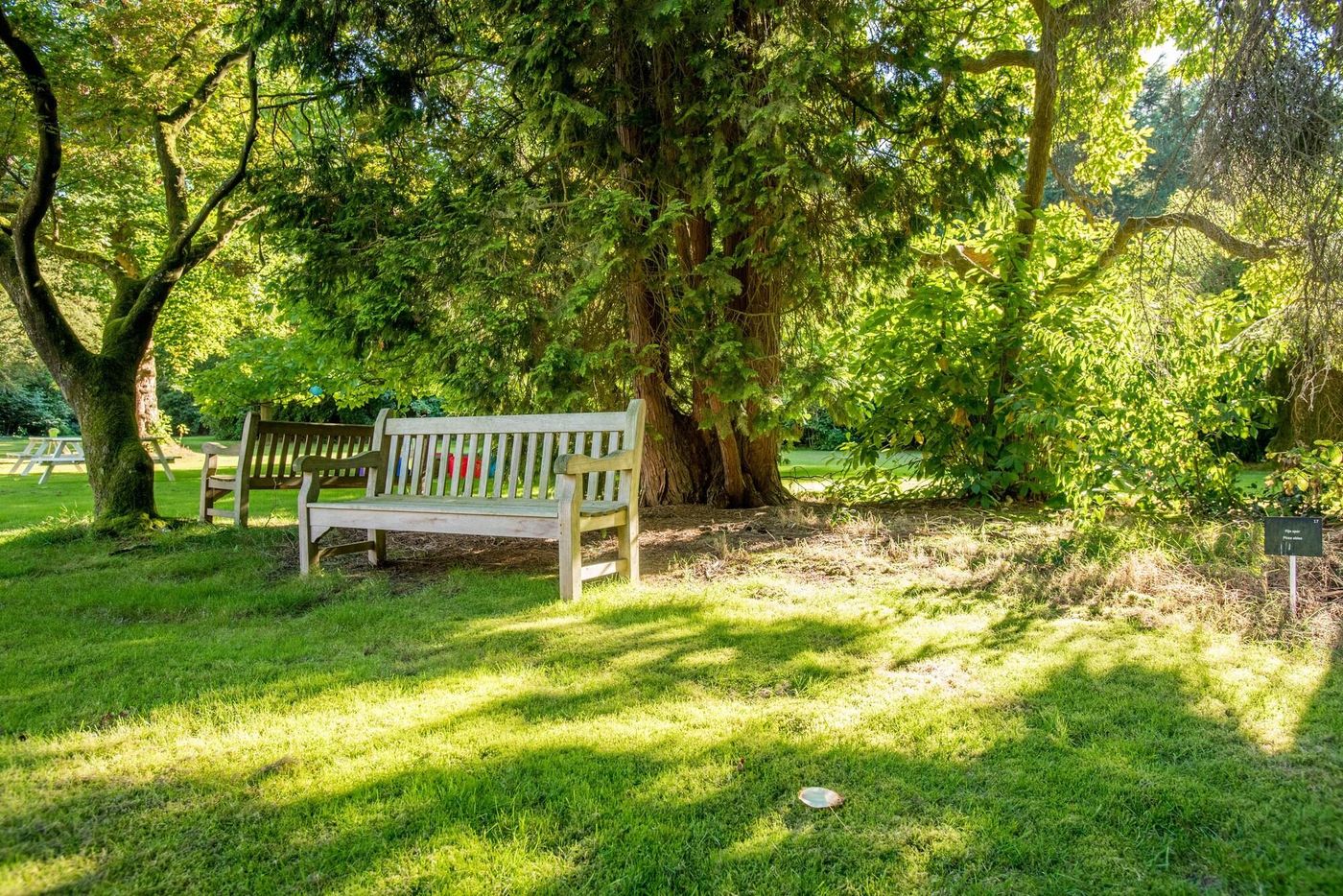 Hotel Ernst Sillem Hoeve-Netherlands-DEN DOLDER-General view-3