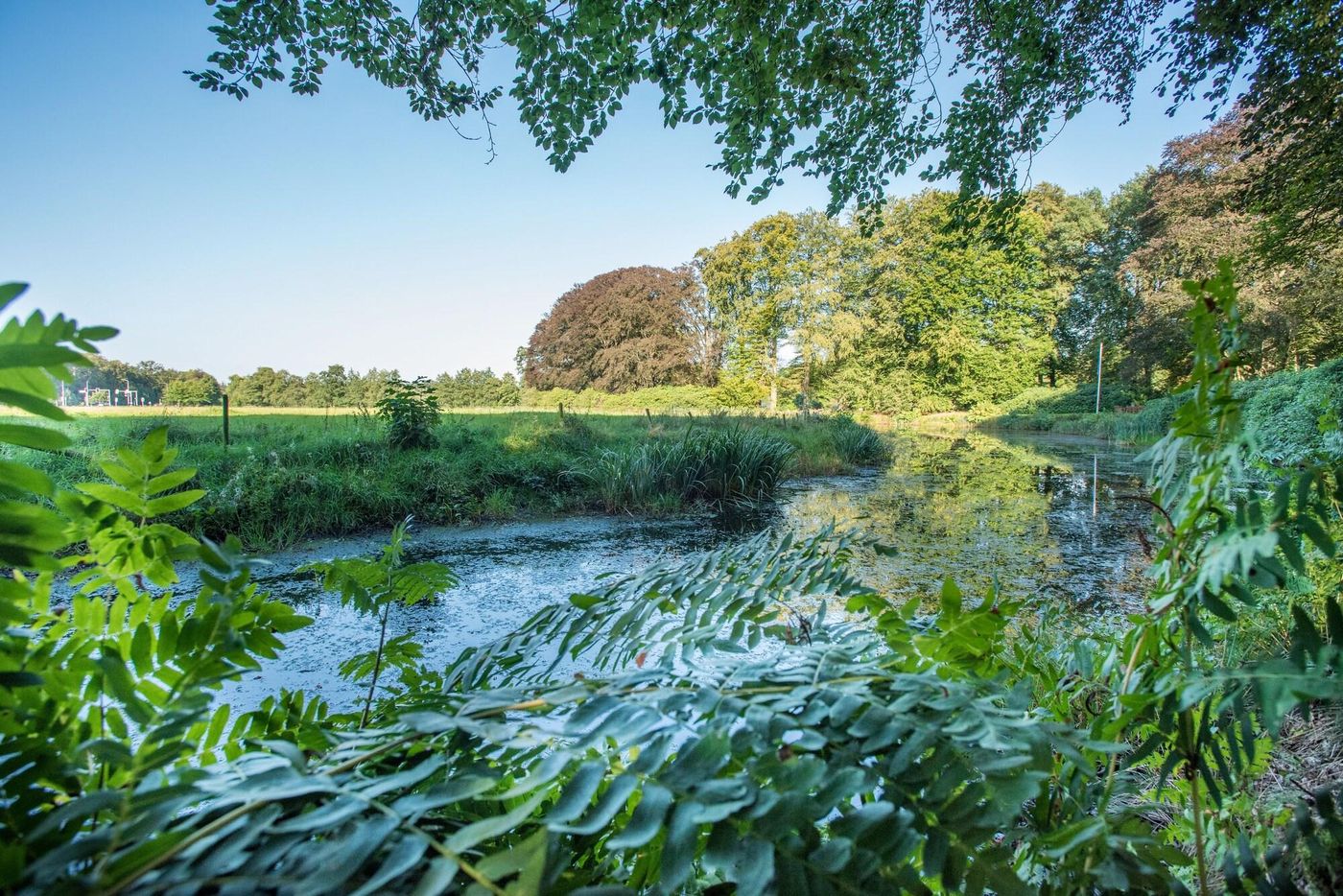 Hotel Ernst Sillem Hoeve-Netherlands-DEN DOLDER-General view-4
