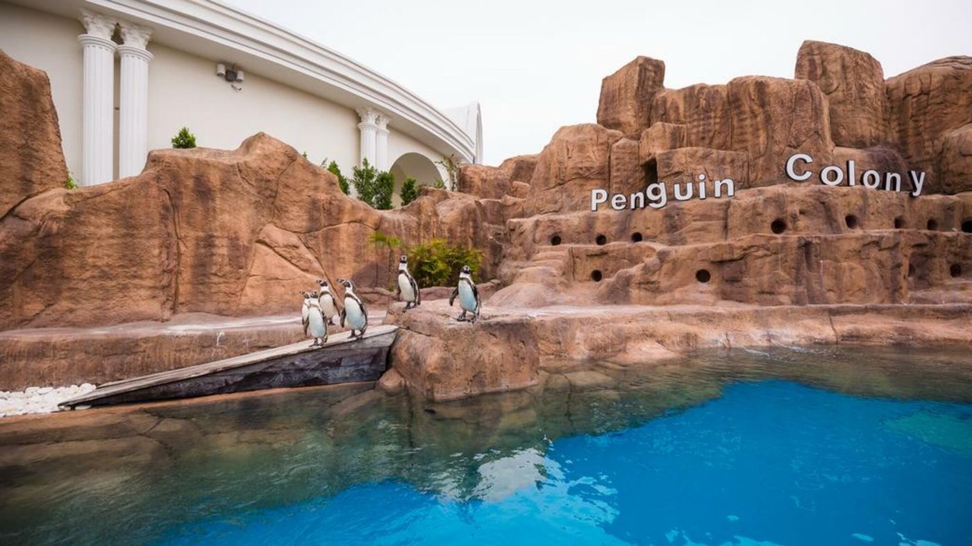 The-Land-of-Legends-Kingdom-Sports-and-Entertainment-22